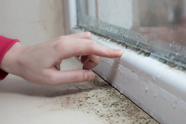Best Forensic Mold Investigation  in Cavalero, WA
